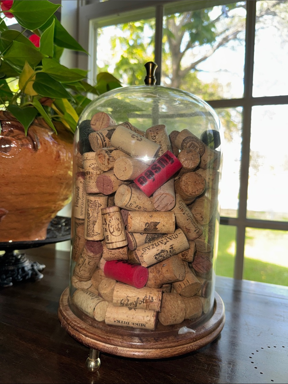 Dome of cork collection